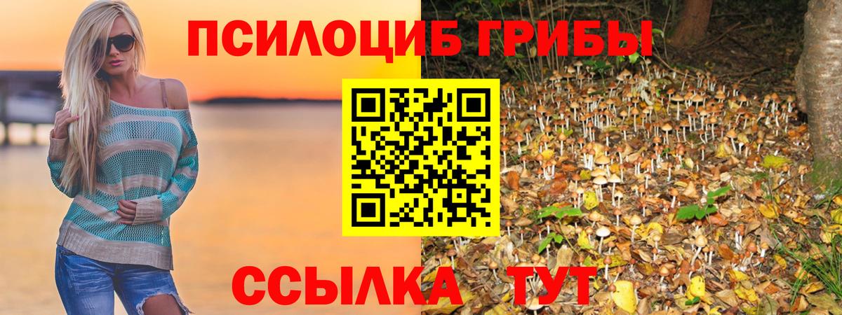 Галлюциногенные грибы Psilocybine cubensis  Псилоцибиновые грибы Psilocybine cubensis  Буйнакск  Вход с VPN 
